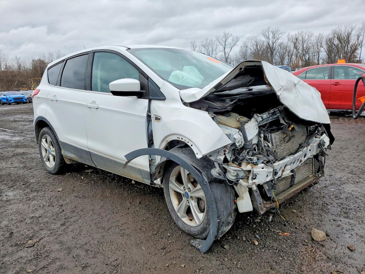 2013 FORD ESCAPE SE photo 4