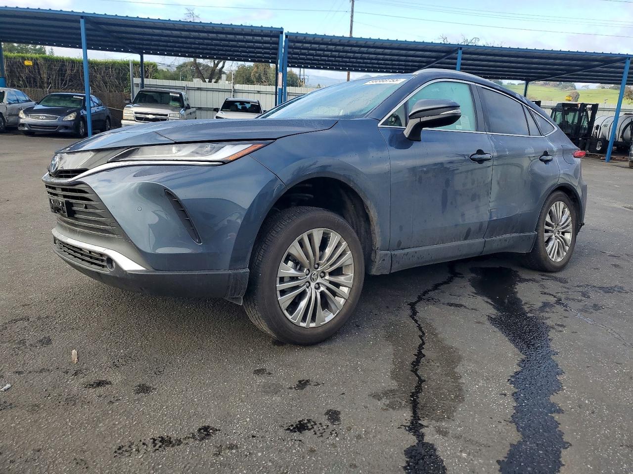 2024 TOYOTA VENZA