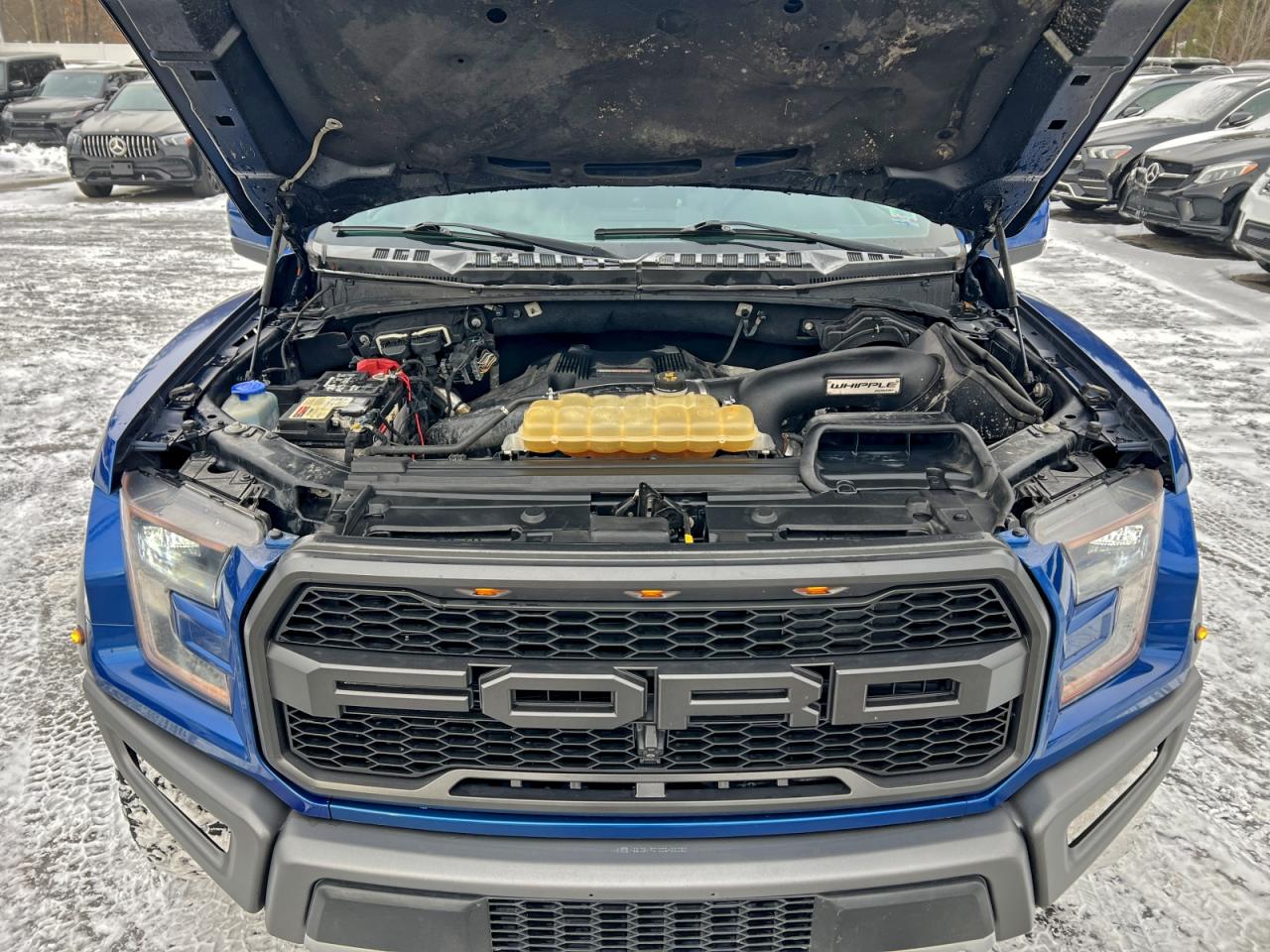 2018 FORD F150 RAPTOR photo 15