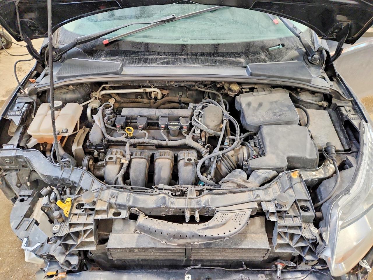 2013 FORD FOCUS SE photo 11