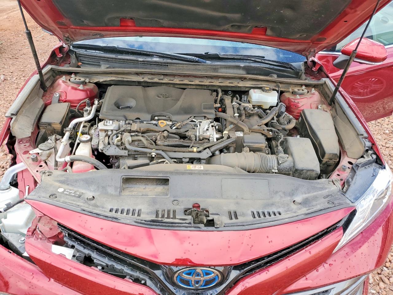 2020 TOYOTA CAMRY XLE photo 11