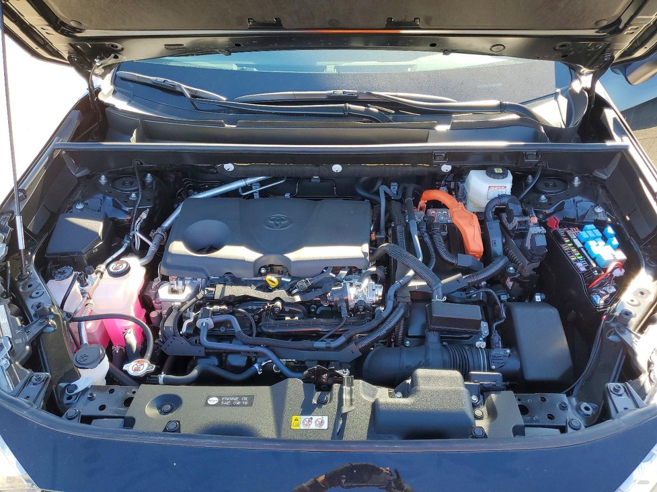 2025 TOYOTA RAV4 LE photo 34