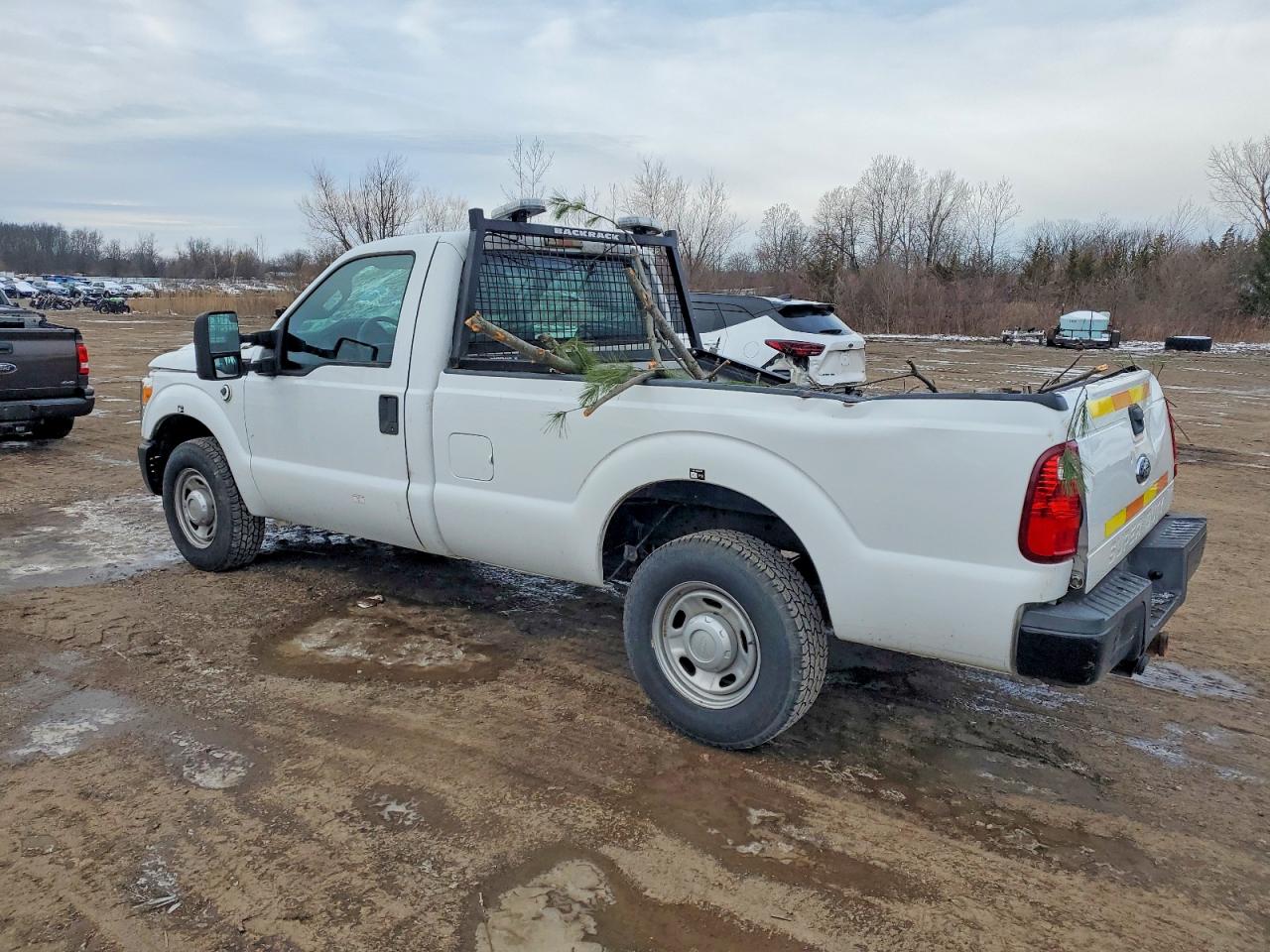 2013 FORD F250 SUPER DUTY photo 3