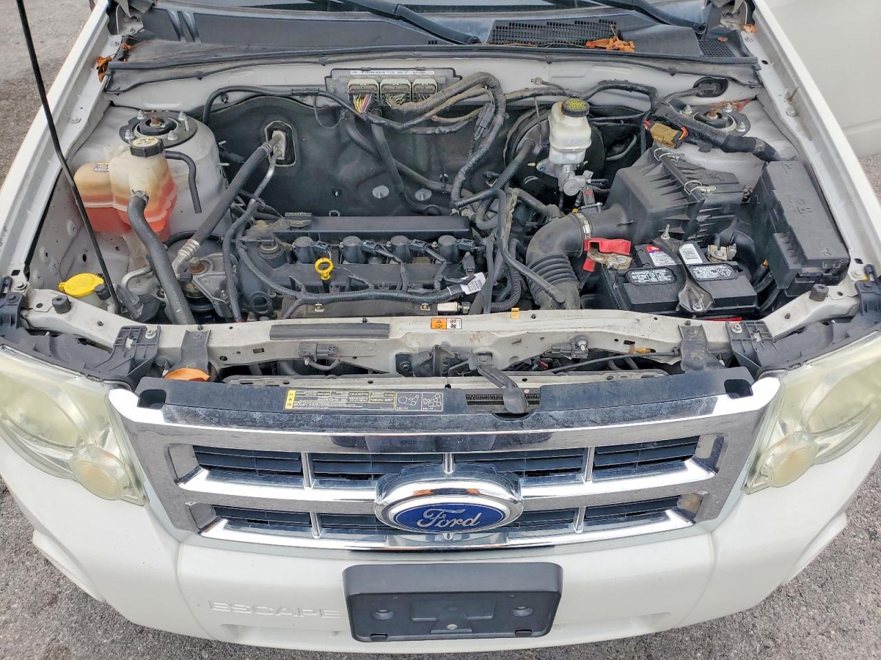 2012 FORD ESCAPE XLT photo 12