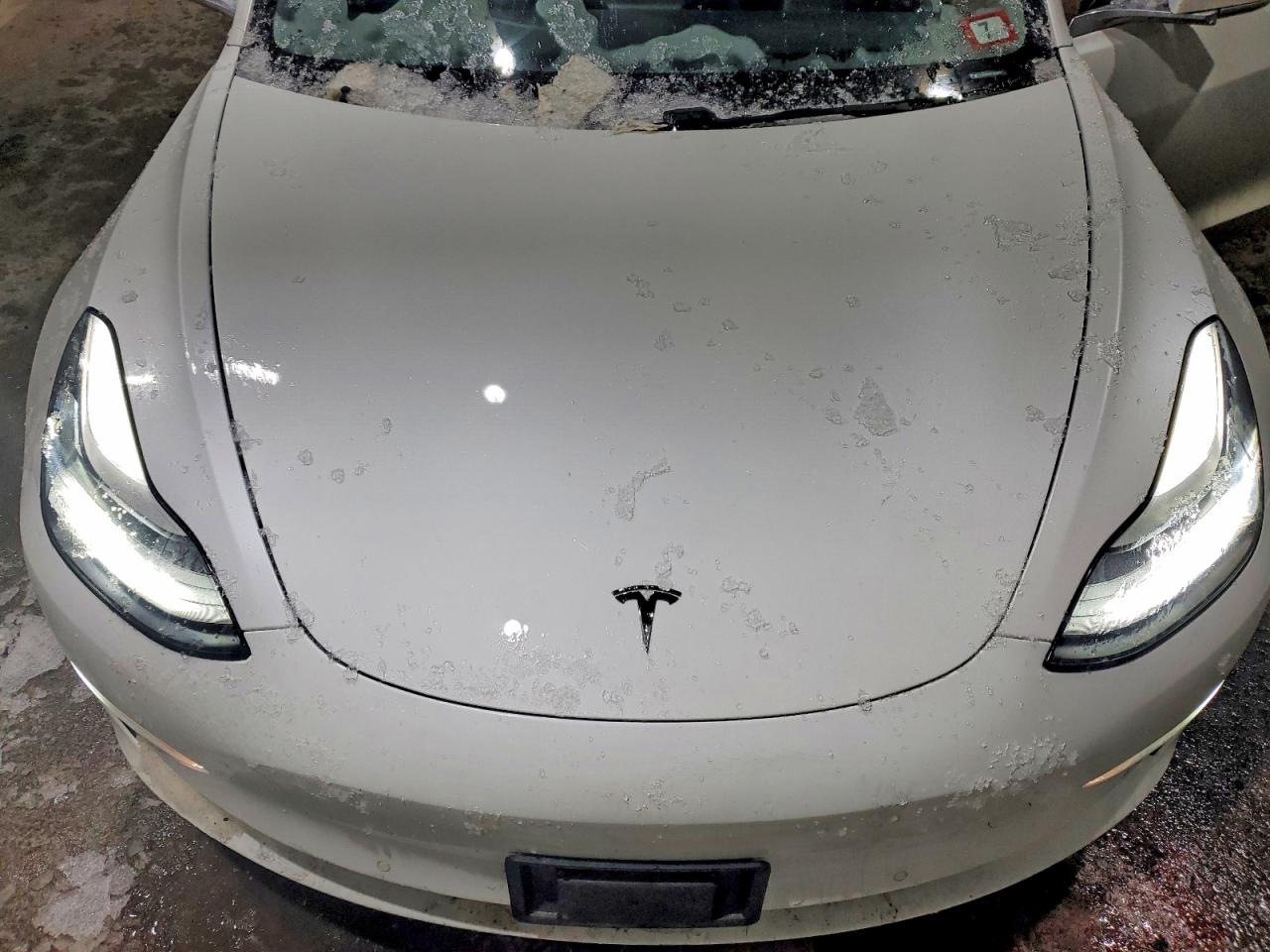 2019 TESLA MODEL 3 photo 11