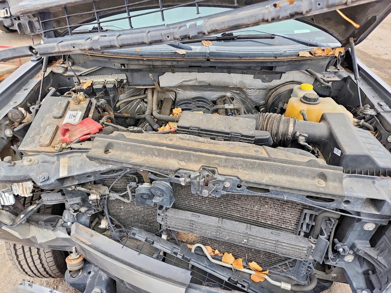 2014 FORD F150 SUPERCREW photo 11