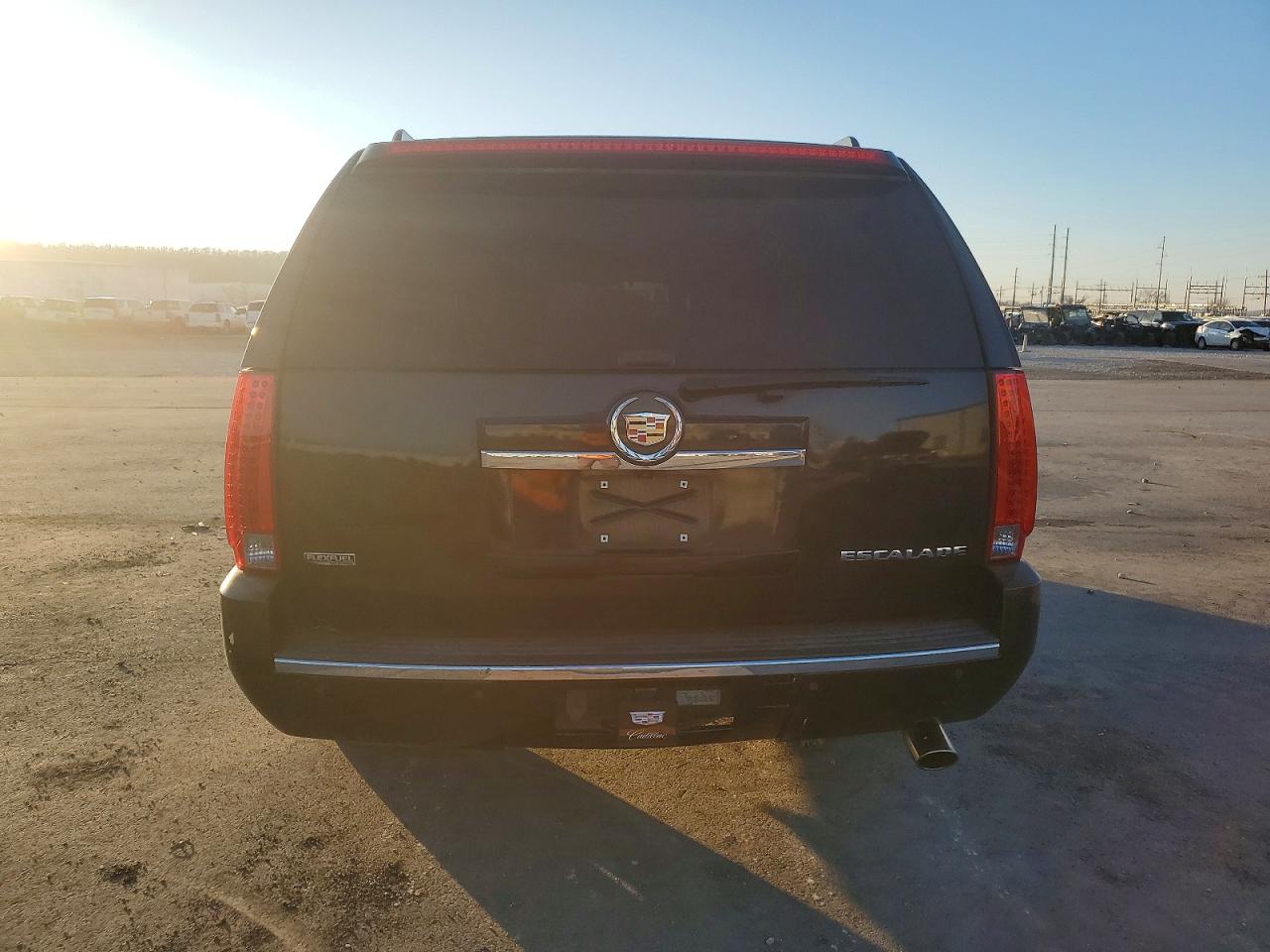 2010 CADILLAC ESCALADE ESV PREMIUM photo 6