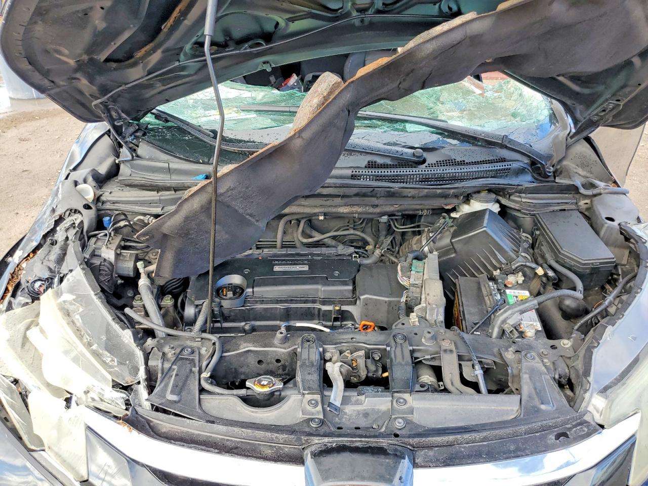 2016 HONDA CR-V LX photo 11