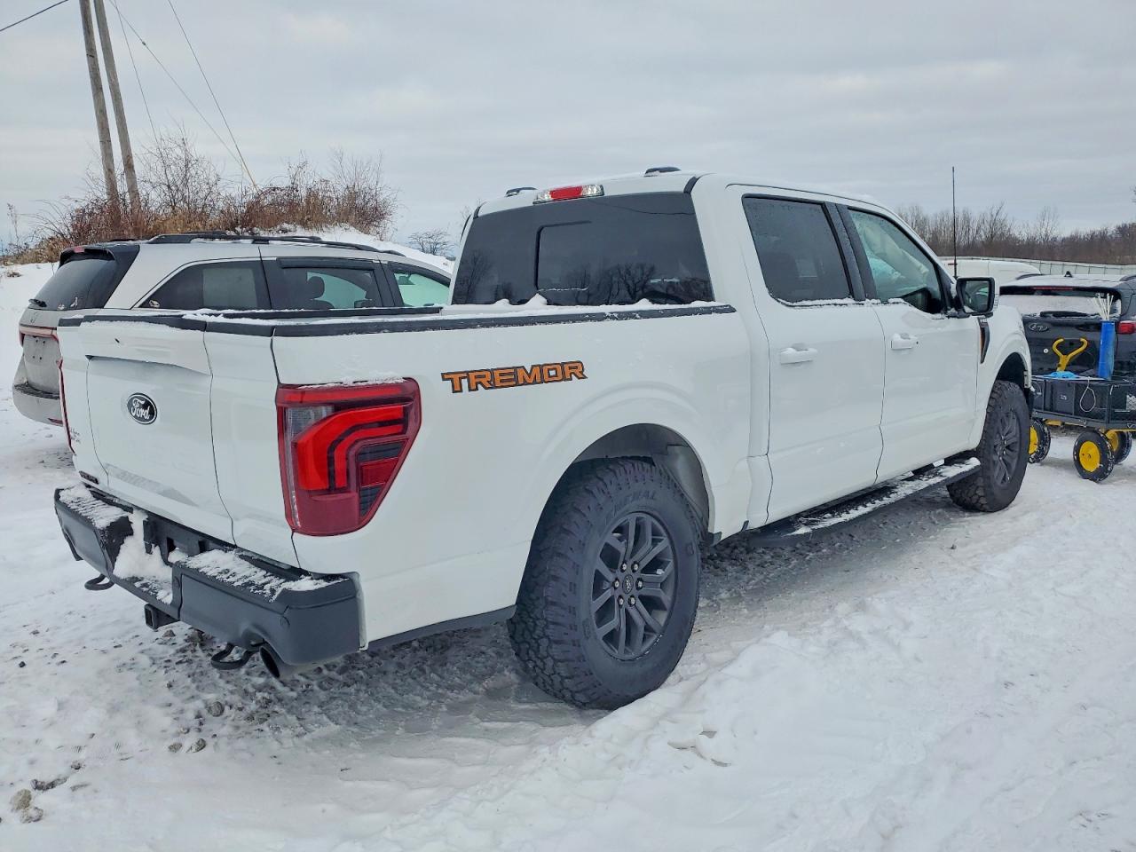 2025 FORD F150 TREMOR photo 3