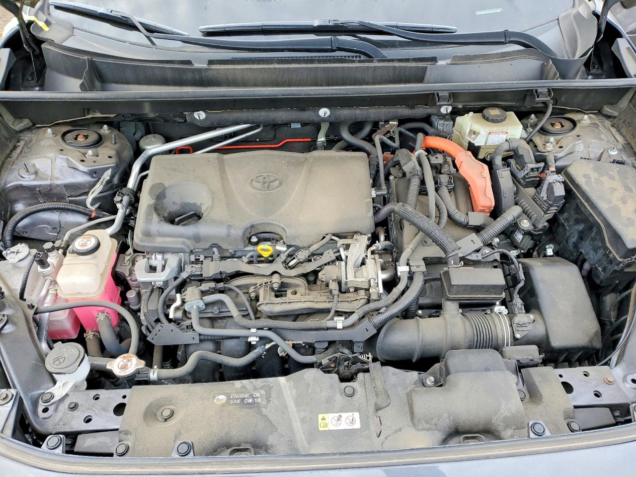 2019 TOYOTA RAV4 LE photo 12