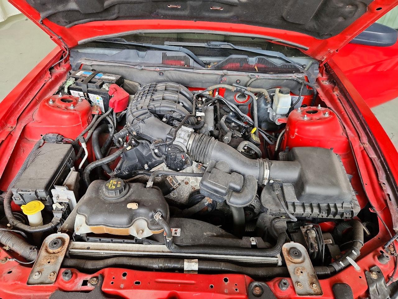 2014 FORD MUSTANG photo 11