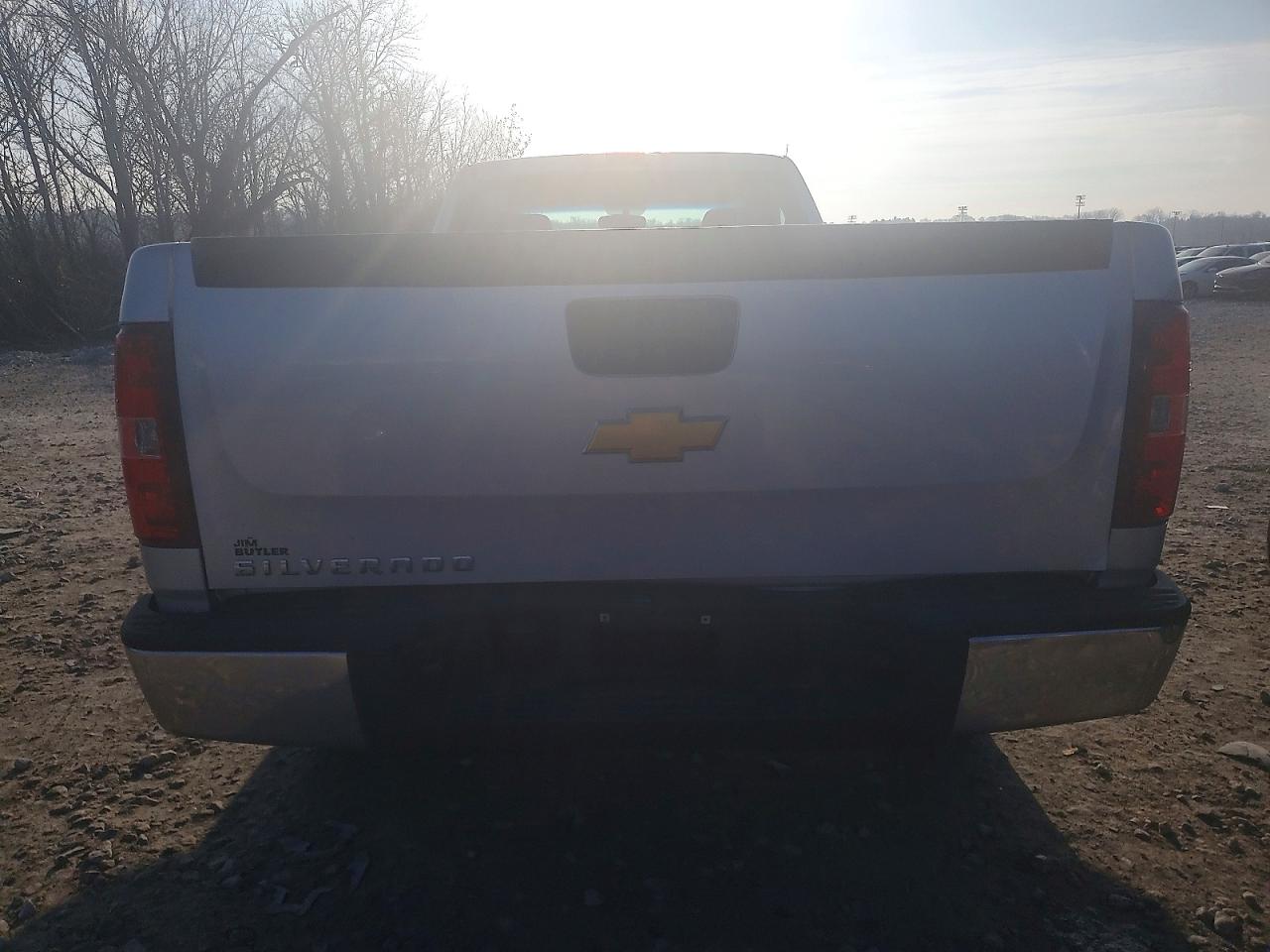 2013 CHEVROLET SILVERADO C1500 photo 6
