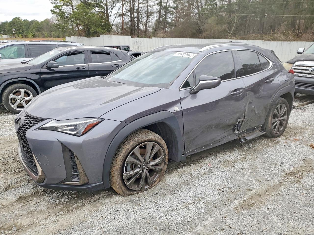2019 LEXUS UX