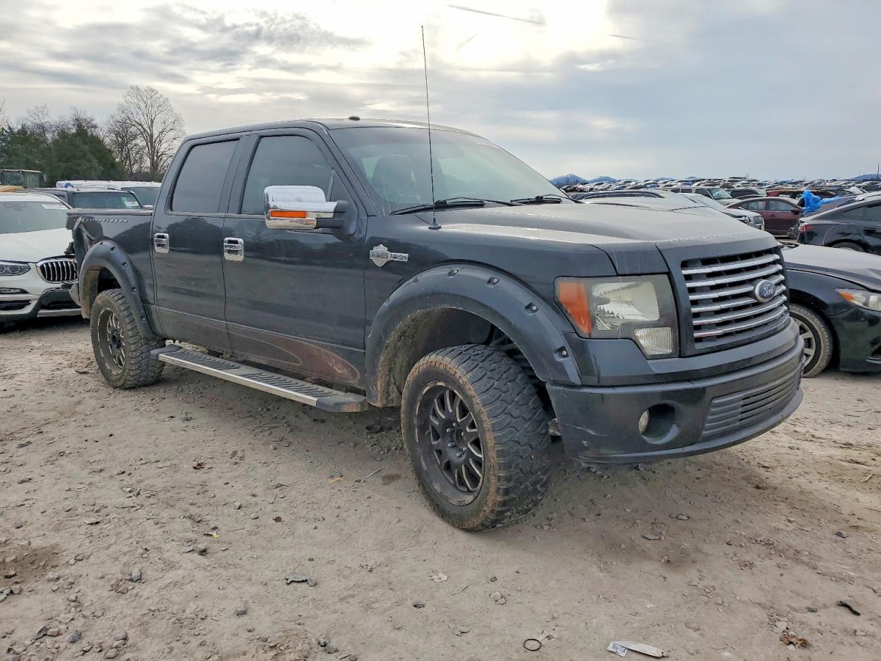 2010 FORD F150 SUPERCREW photo 4