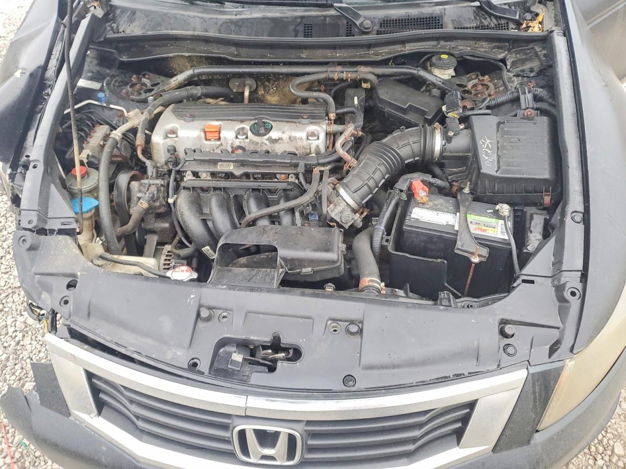 2010 HONDA ACCORD EXL photo 11