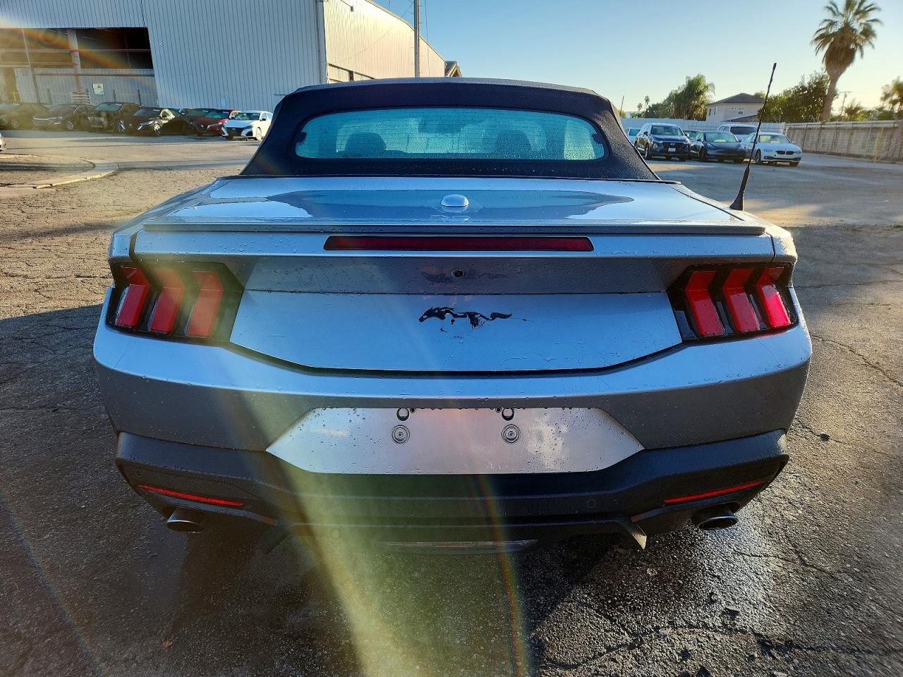 2024 FORD MUSTANG photo 6