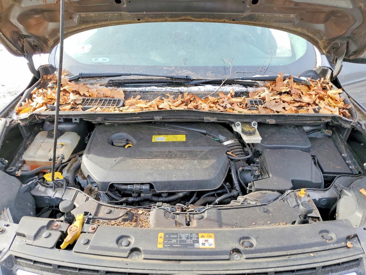 2013 FORD ESCAPE SE photo 12