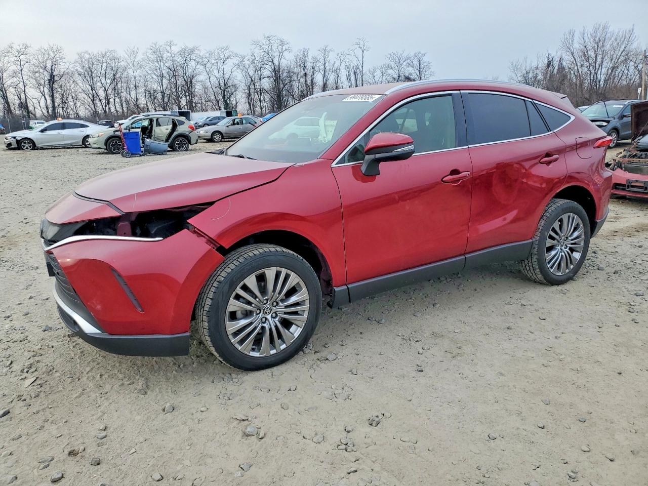 2022 TOYOTA VENZA