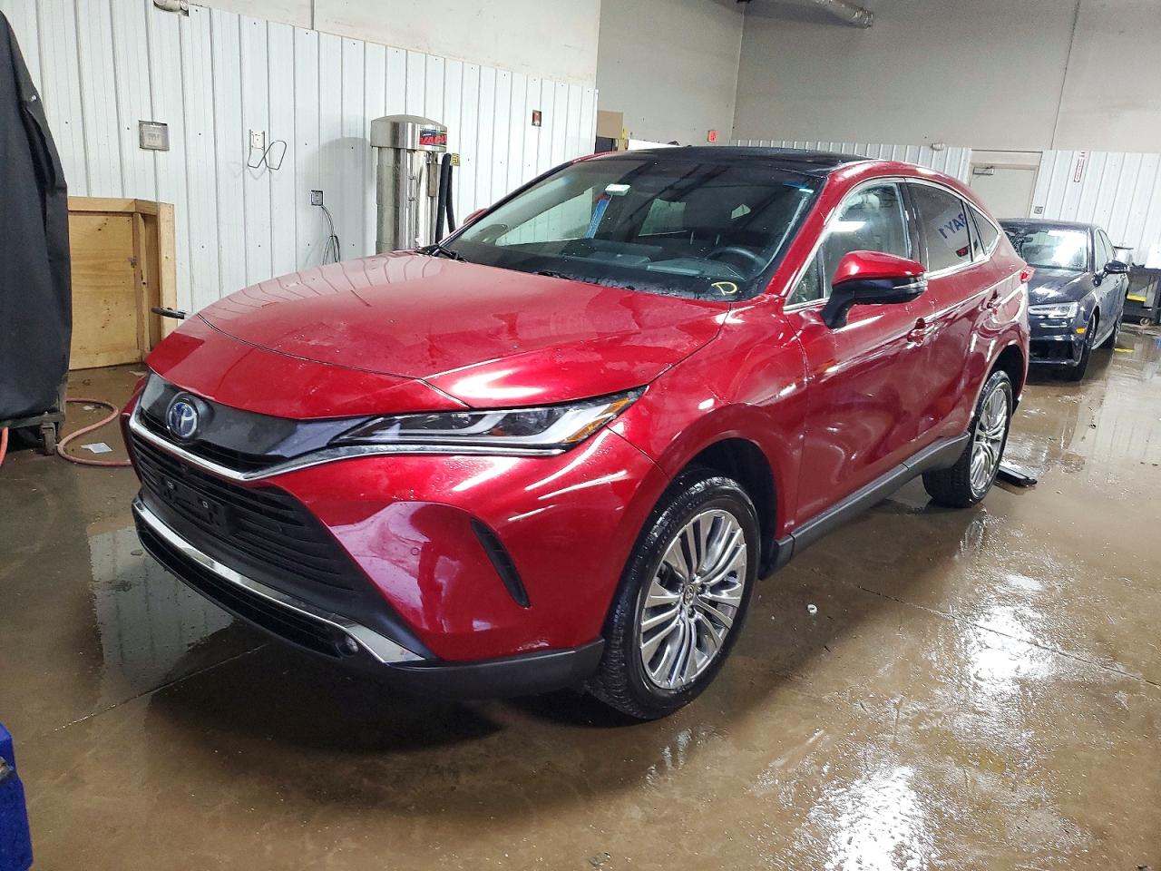 2024 TOYOTA VENZA