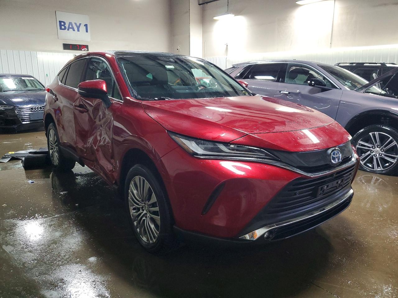 2024 TOYOTA VENZA LIMITED photo 4