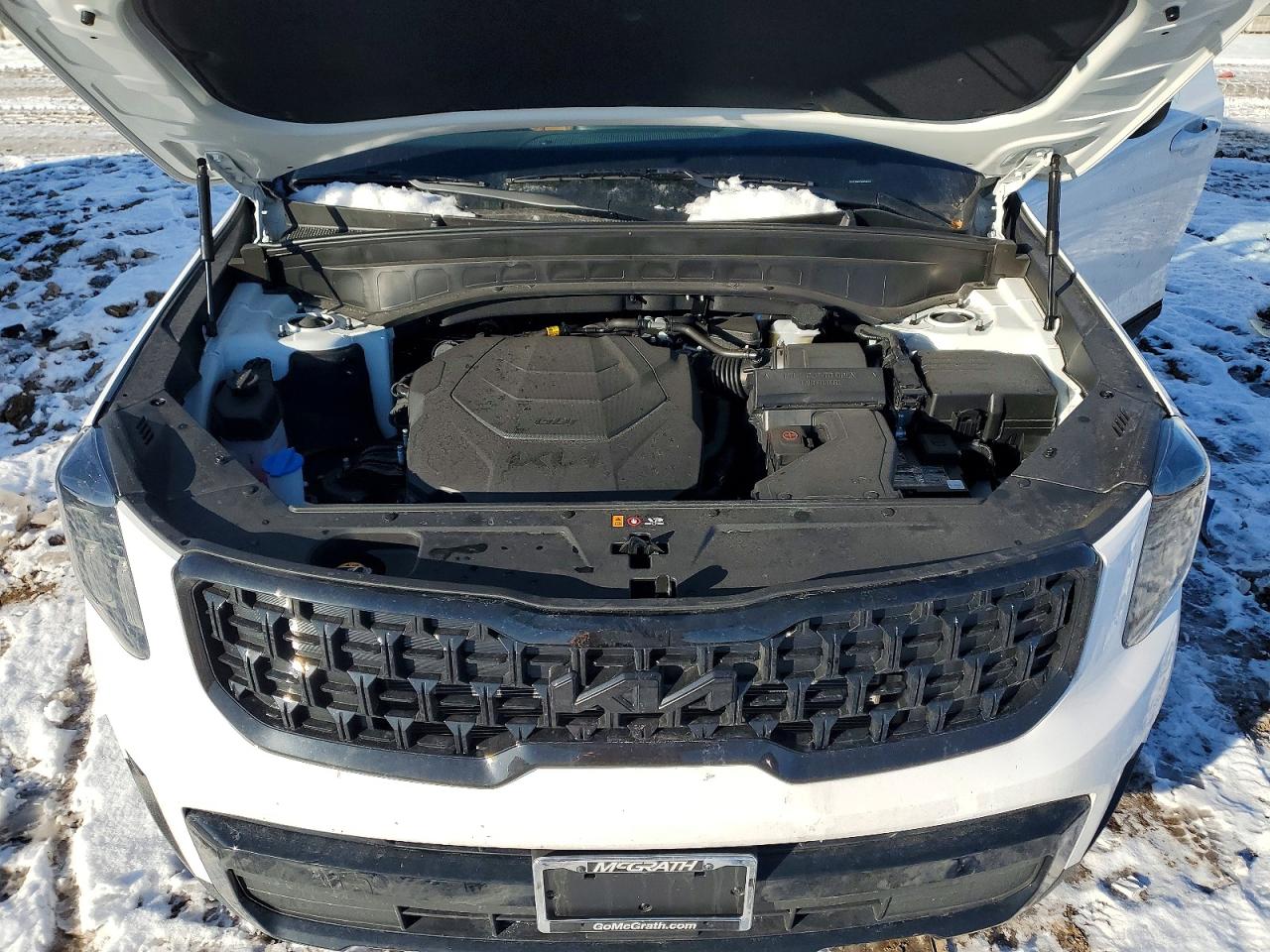 2025 KIA TELLURIDE EX photo 11