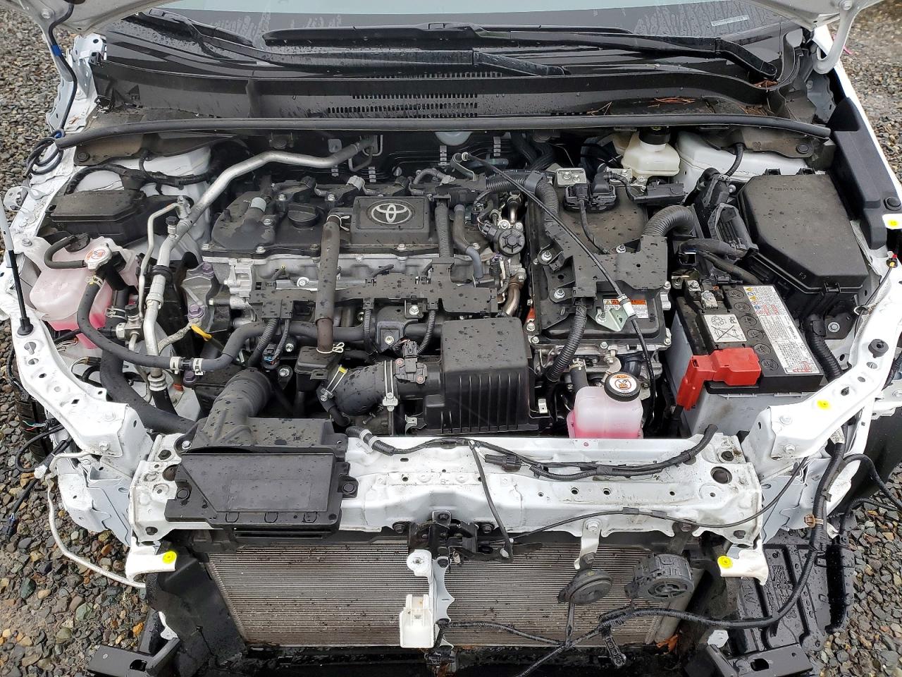 2025 TOYOTA COROLLA LE photo 11