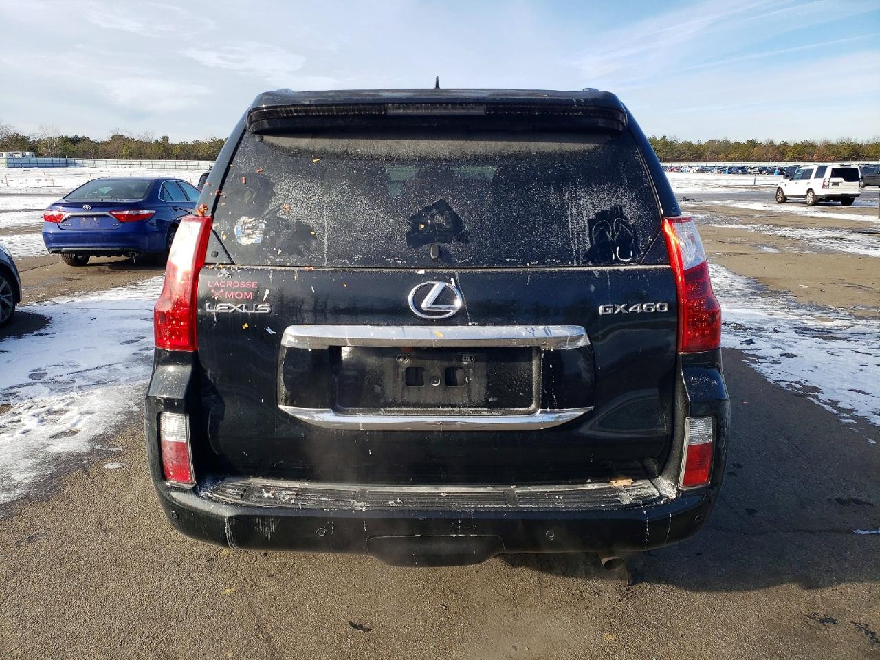 2010 LEXUS GX 460 photo 6