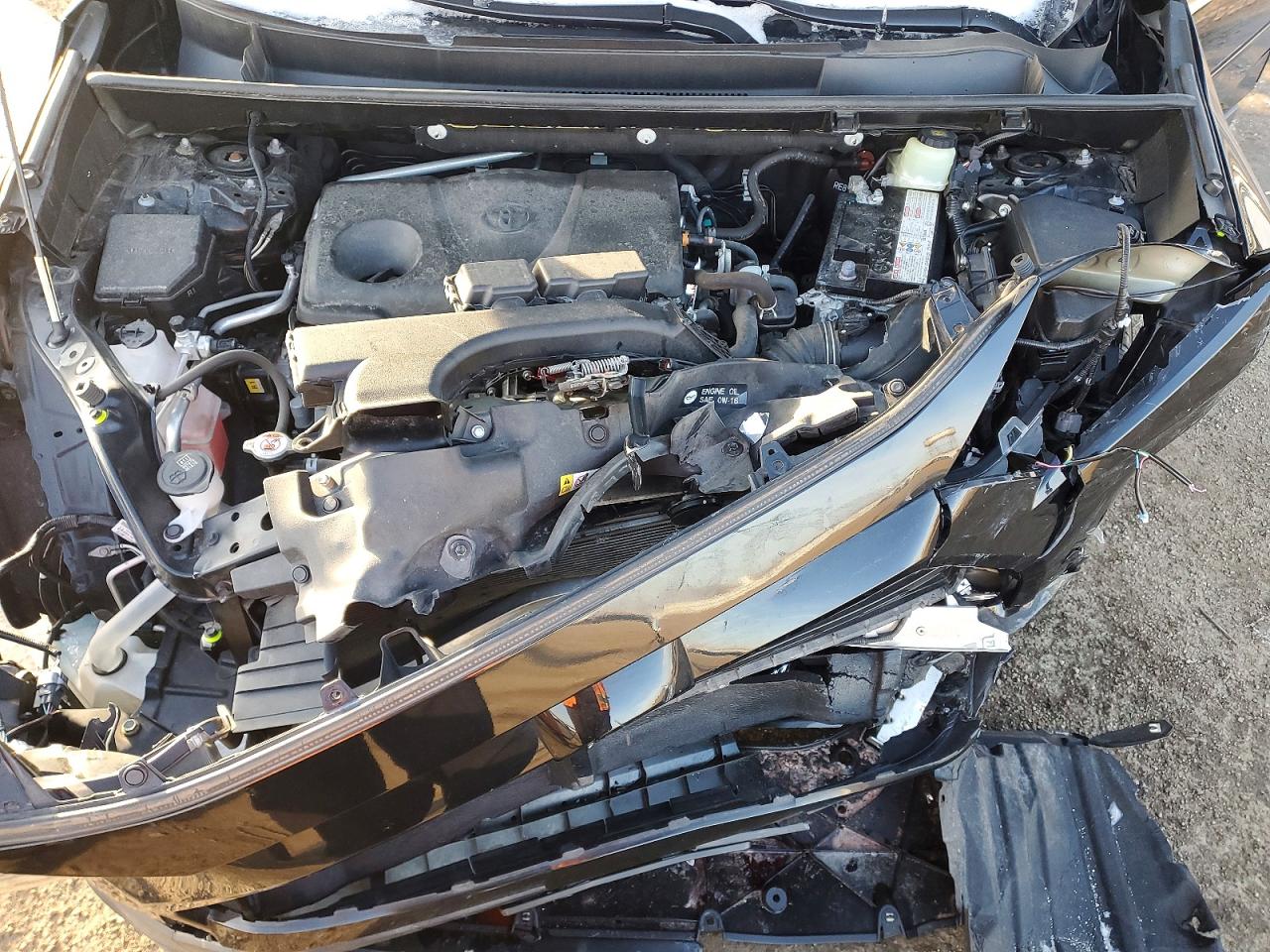 2019 TOYOTA RAV4 XLE photo 12