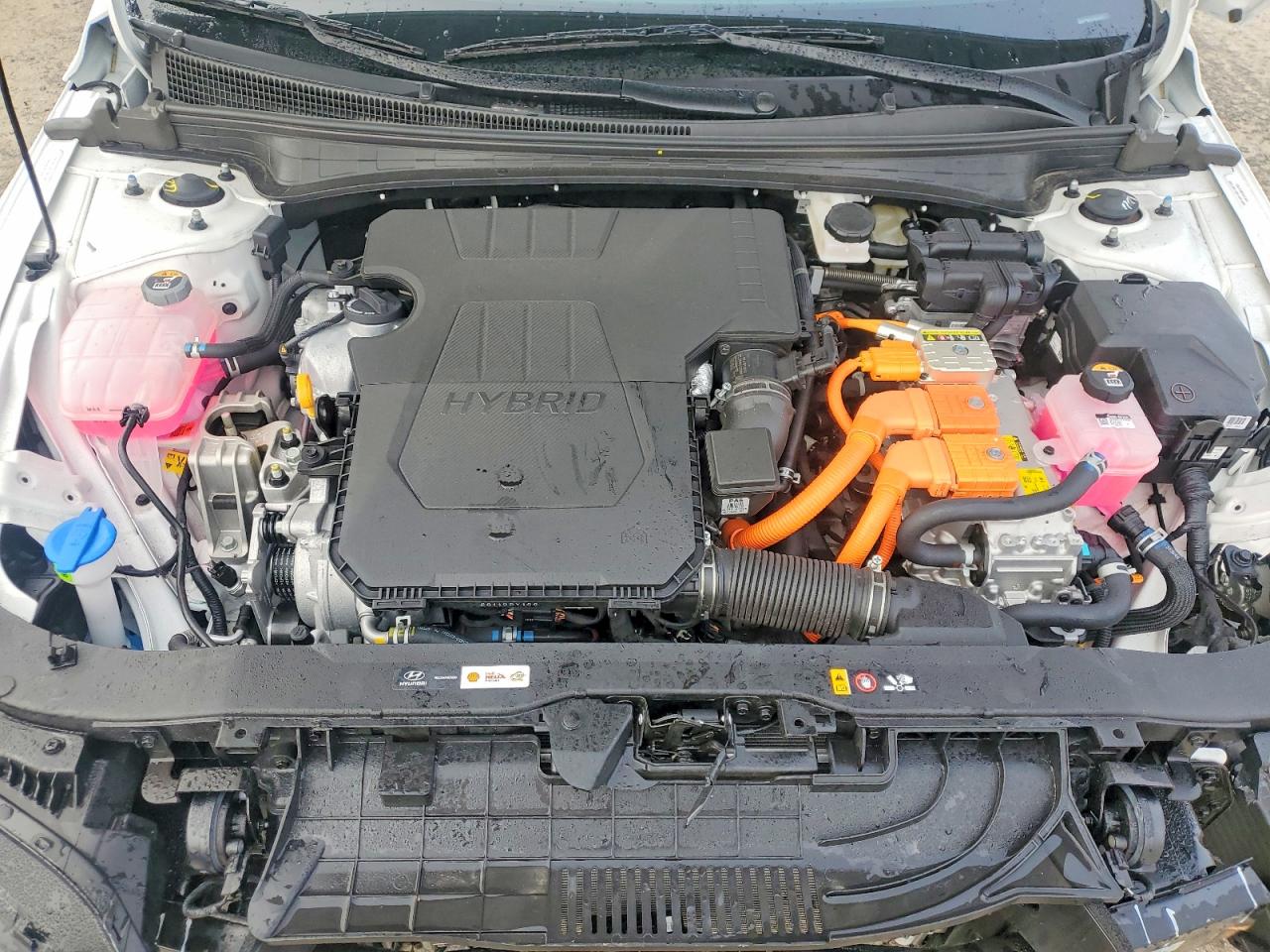 2025 HYUNDAI ELANTRA BLUE photo 11