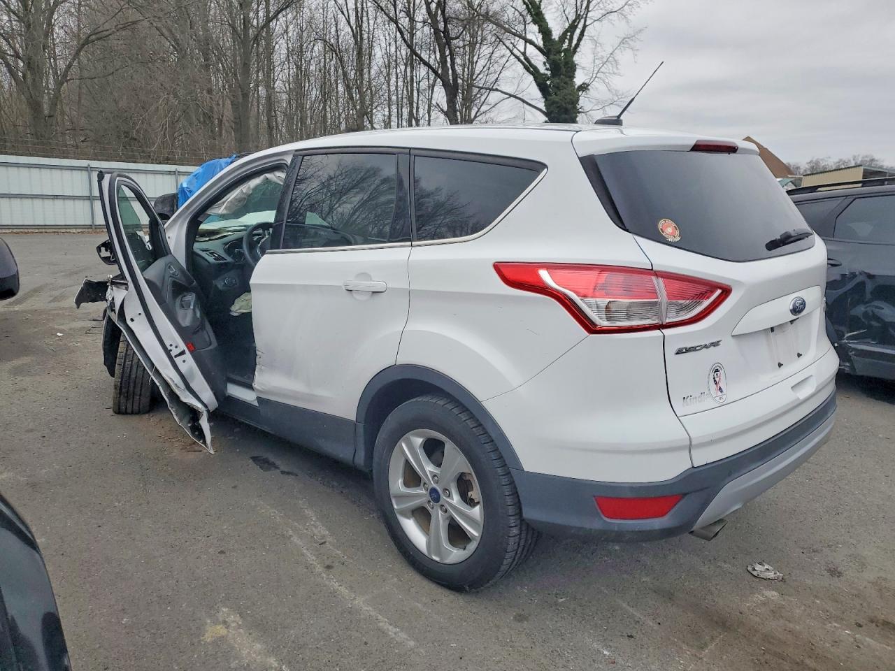 2014 FORD ESCAPE SE photo 2