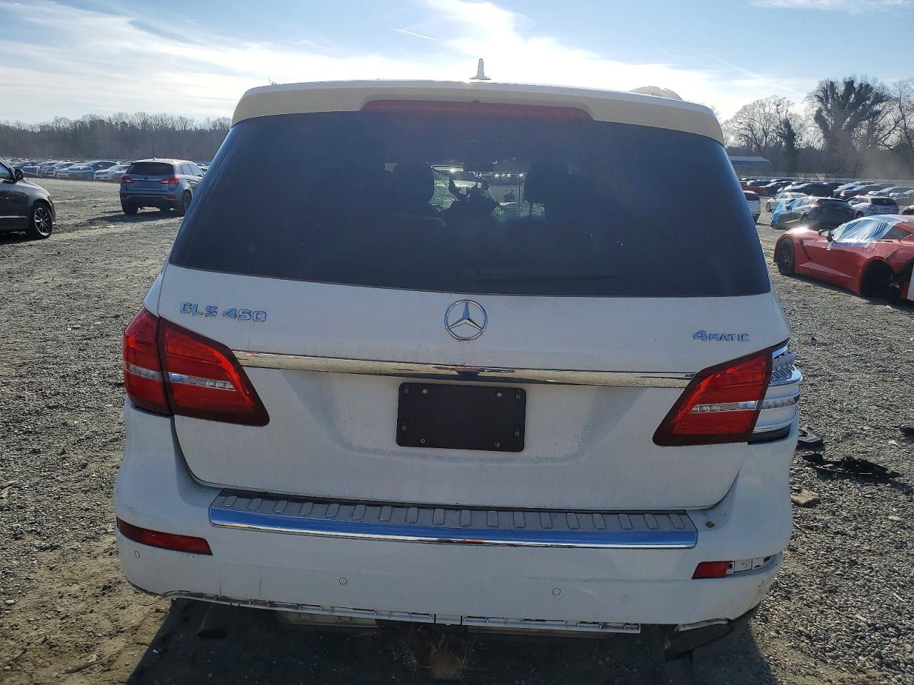 2019 MERCEDES-BENZ GLS 450 4MATIC photo 6