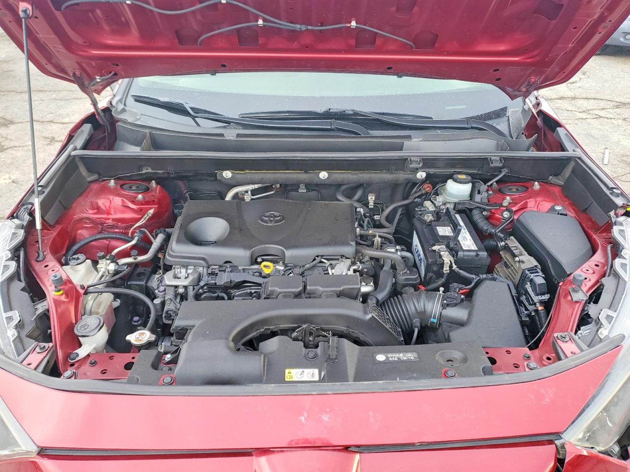 2019 TOYOTA RAV4 LE photo 12