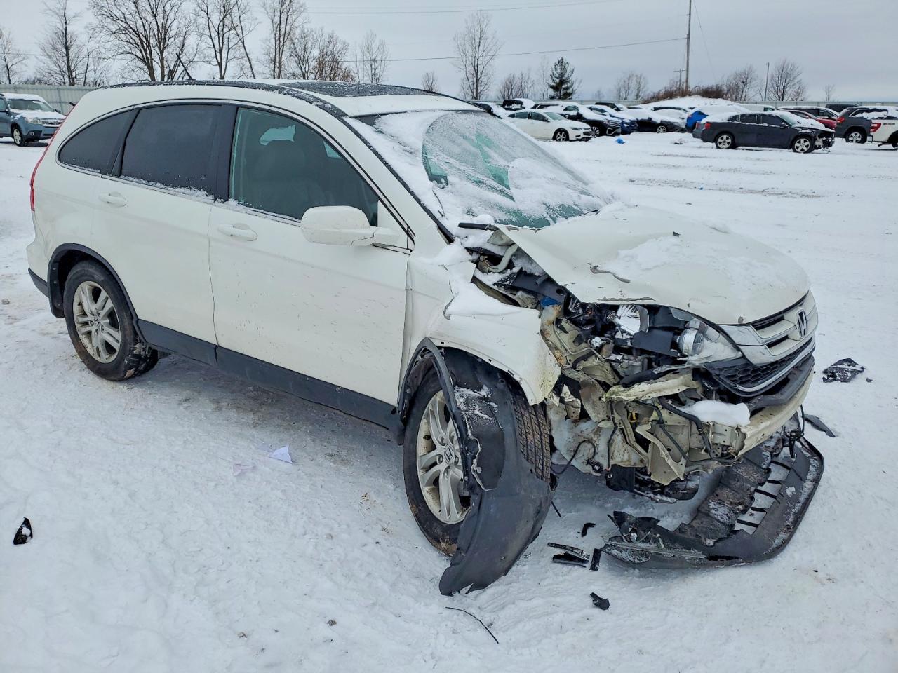 2010 HONDA CR-V EXL photo 4