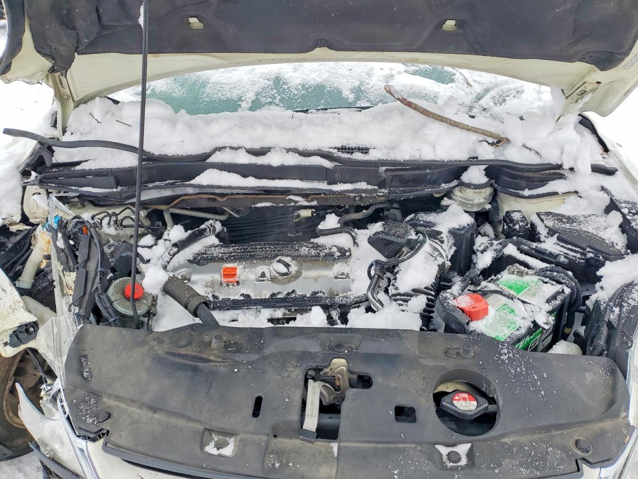 2010 HONDA CR-V EXL photo 11