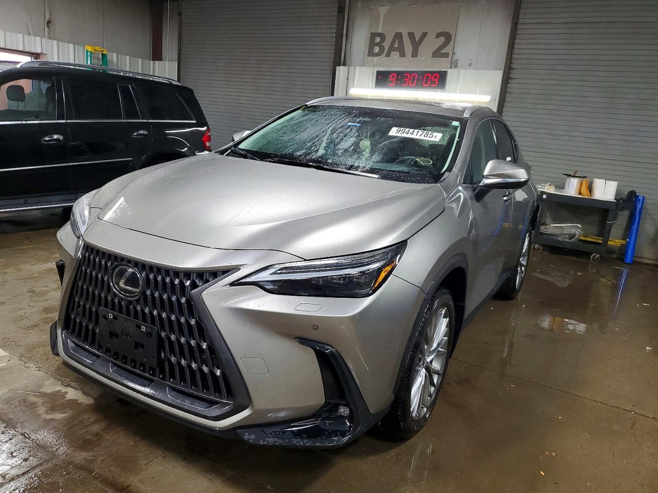 2024 LEXUS NX