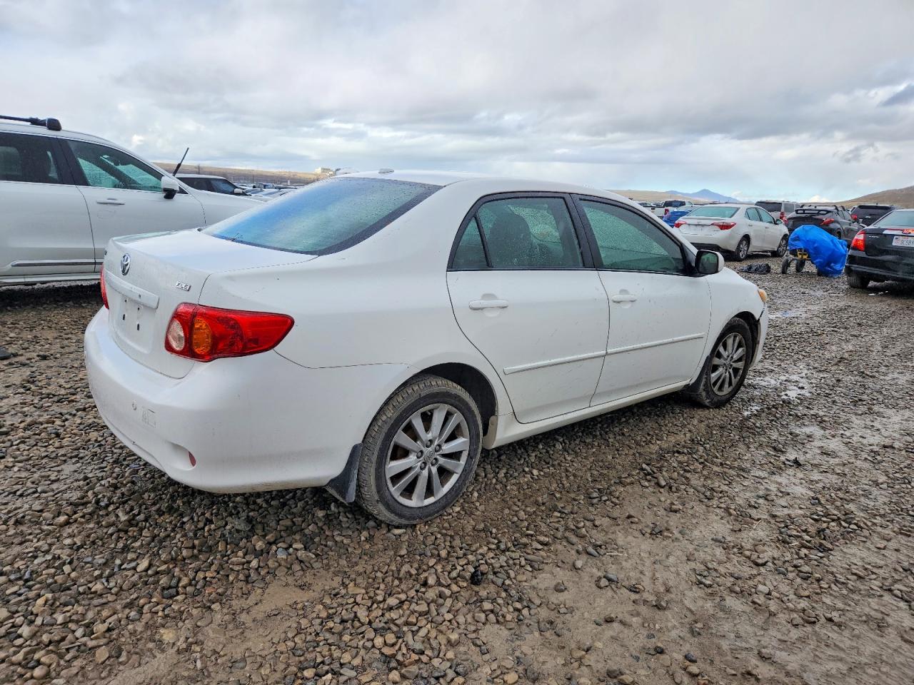 2010 TOYOTA COROLLA BASE photo 3