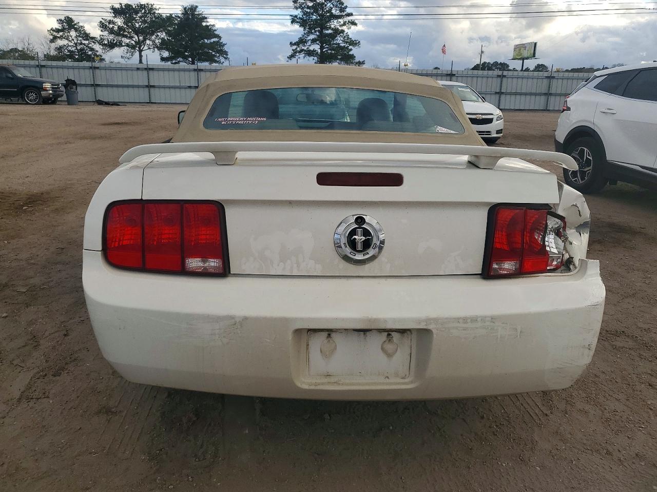 2005 FORD MUSTANG photo 6
