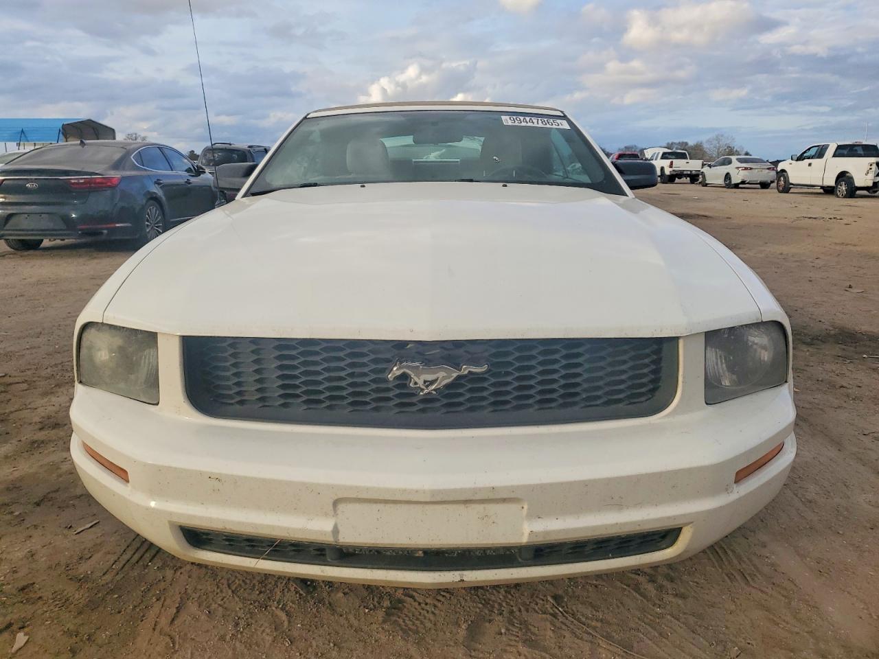 2005 FORD MUSTANG photo 5