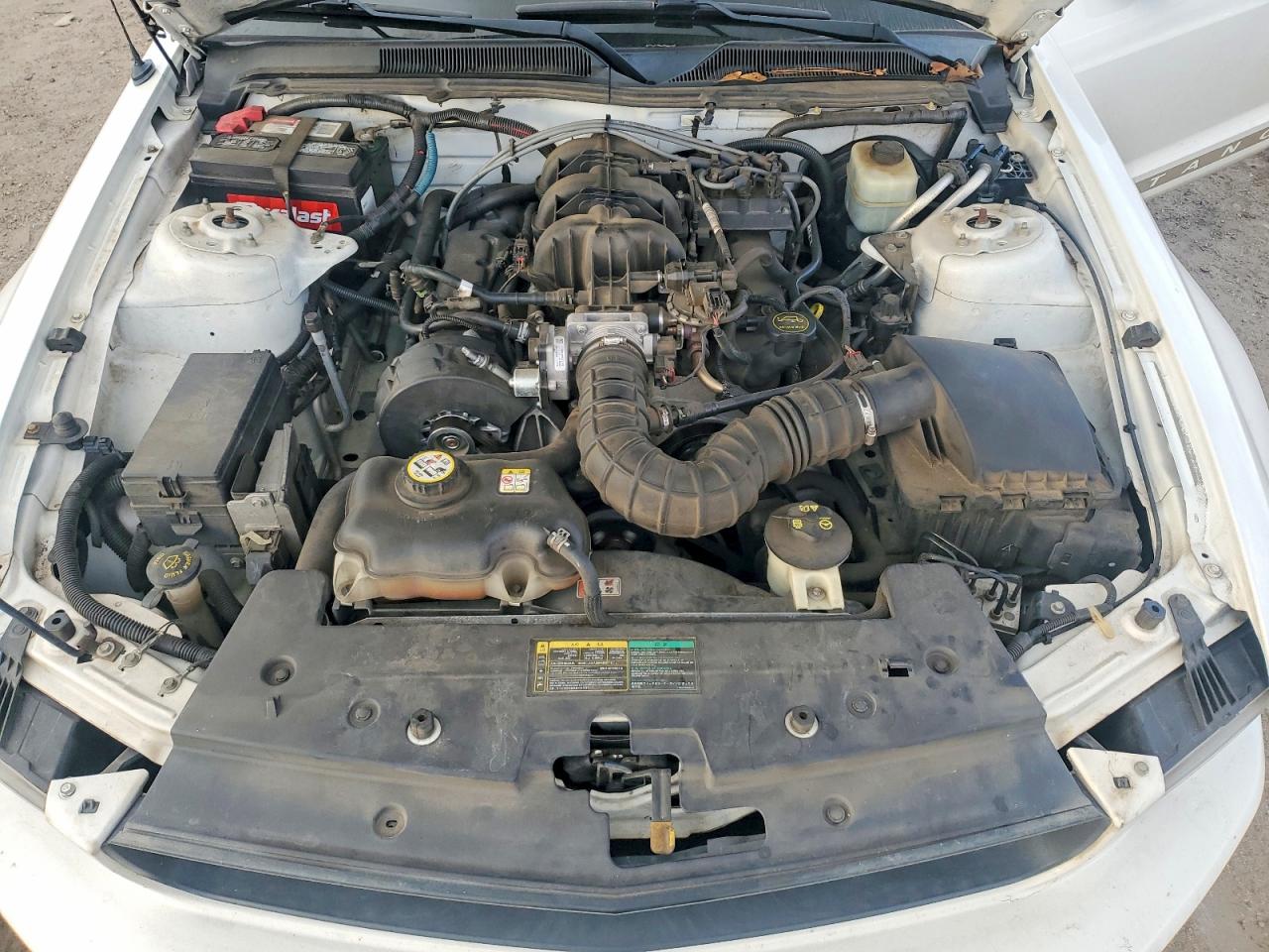 2005 FORD MUSTANG photo 11