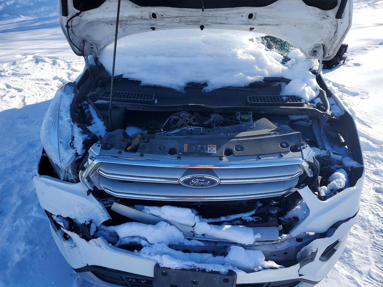 2018 FORD ESCAPE SE photo 12