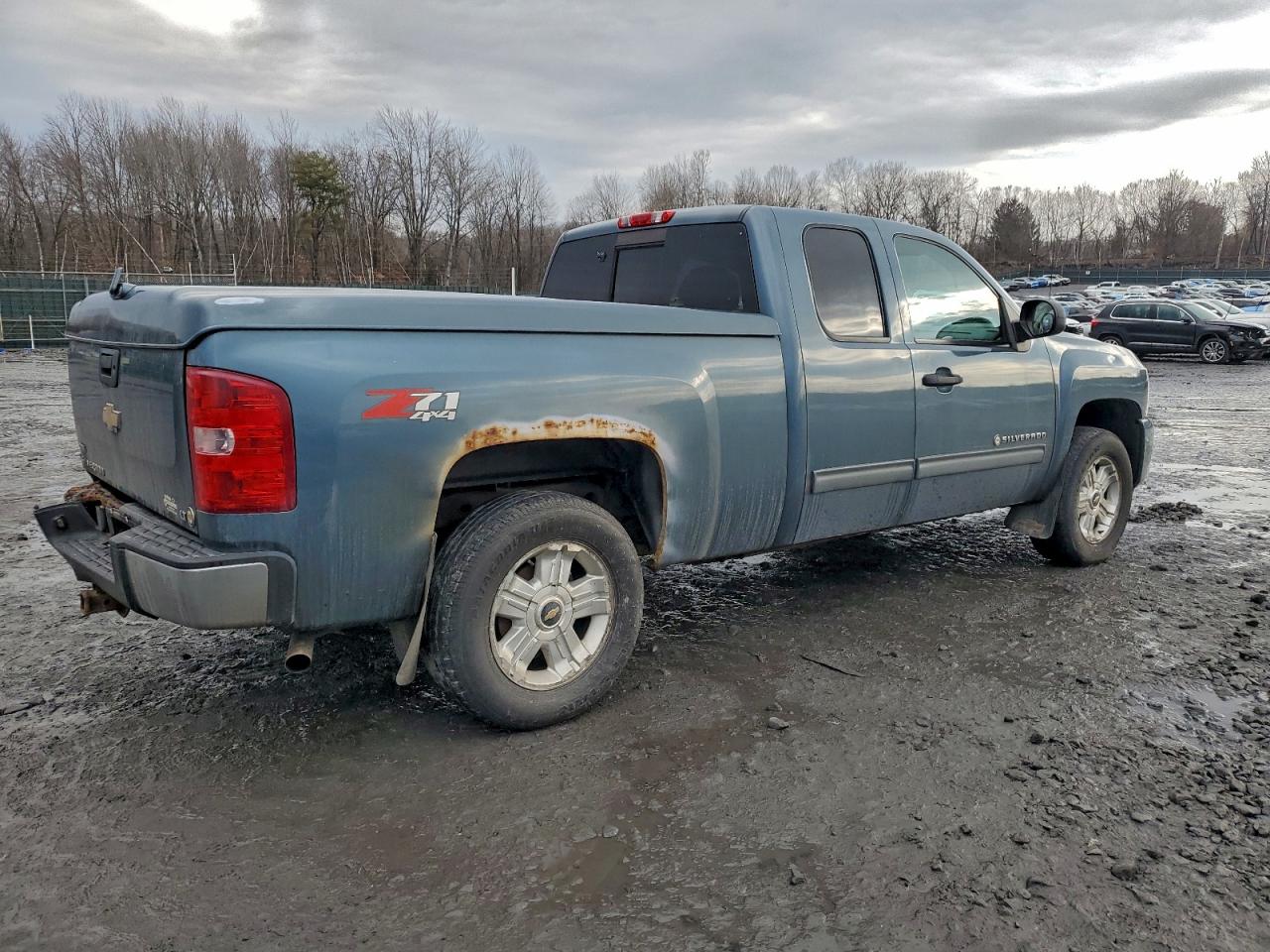 2010 CHEVROLET SILVERADO K1500 LT photo 3