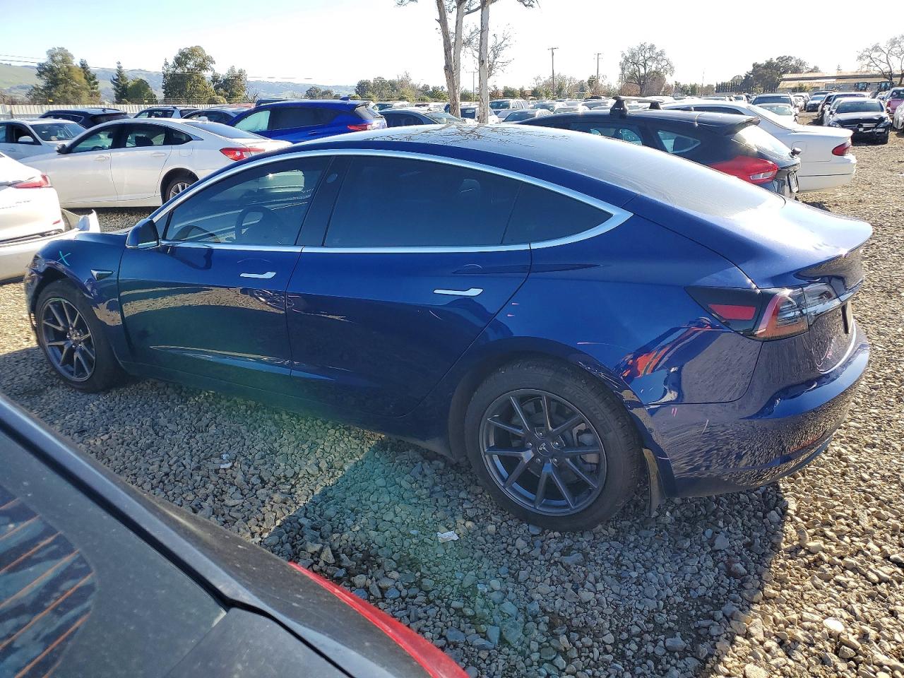 2019 TESLA MODEL 3 photo 2