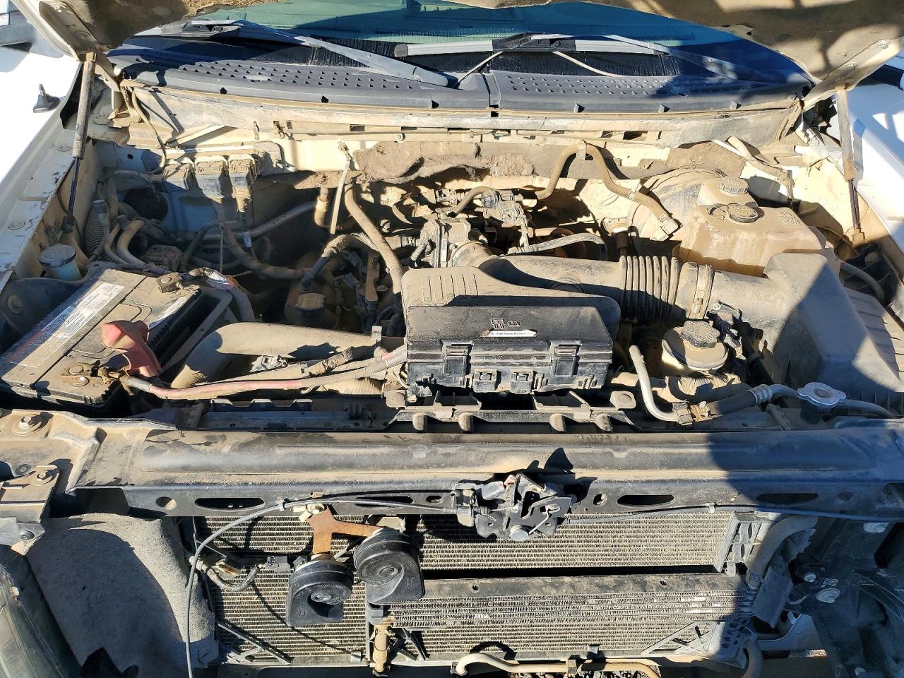 2010 FORD F150 photo 11
