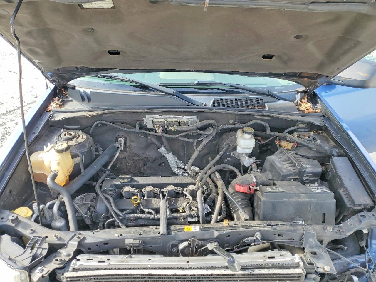 2010 FORD ESCAPE XLT photo 12