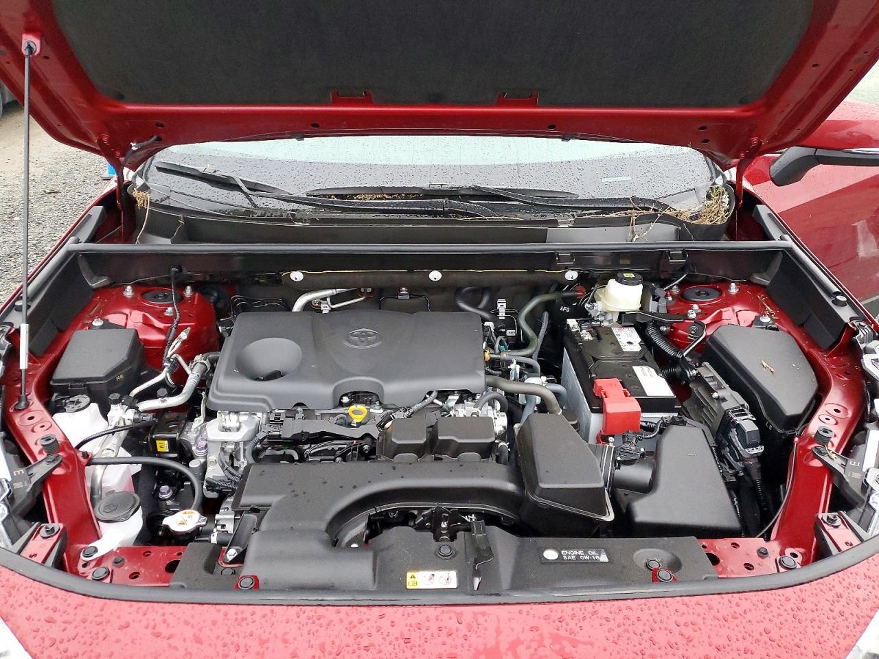 2025 TOYOTA RAV4 XLE PREMIUM photo 12