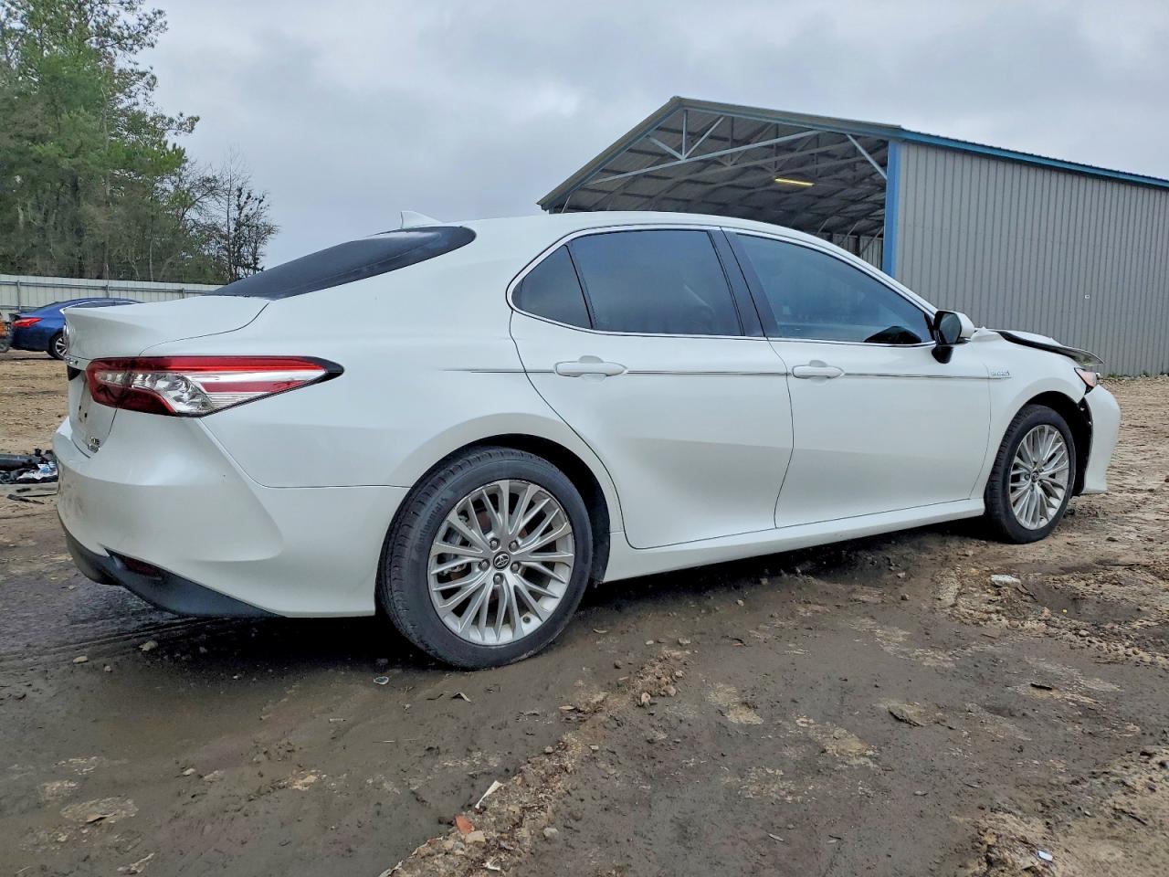 2019 TOYOTA CAMRY HYBRID photo 5