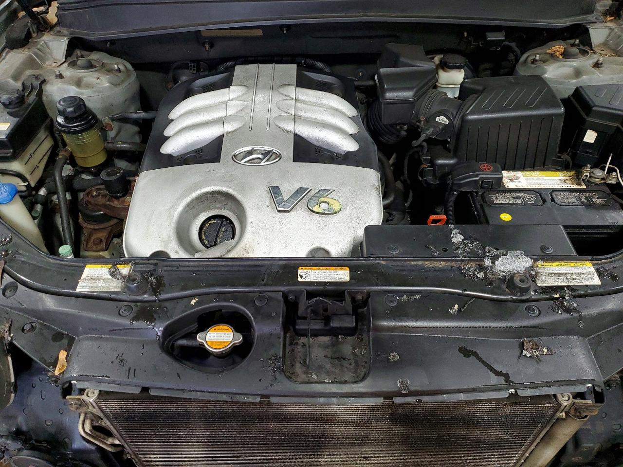 2007 HYUNDAI SANTA FE SE photo 11