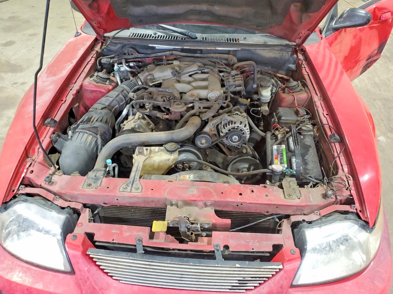 2004 FORD MUSTANG photo 11