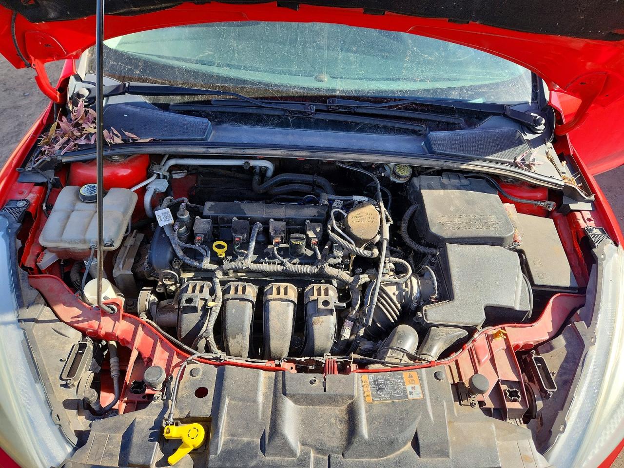 2015 FORD FOCUS SE photo 11