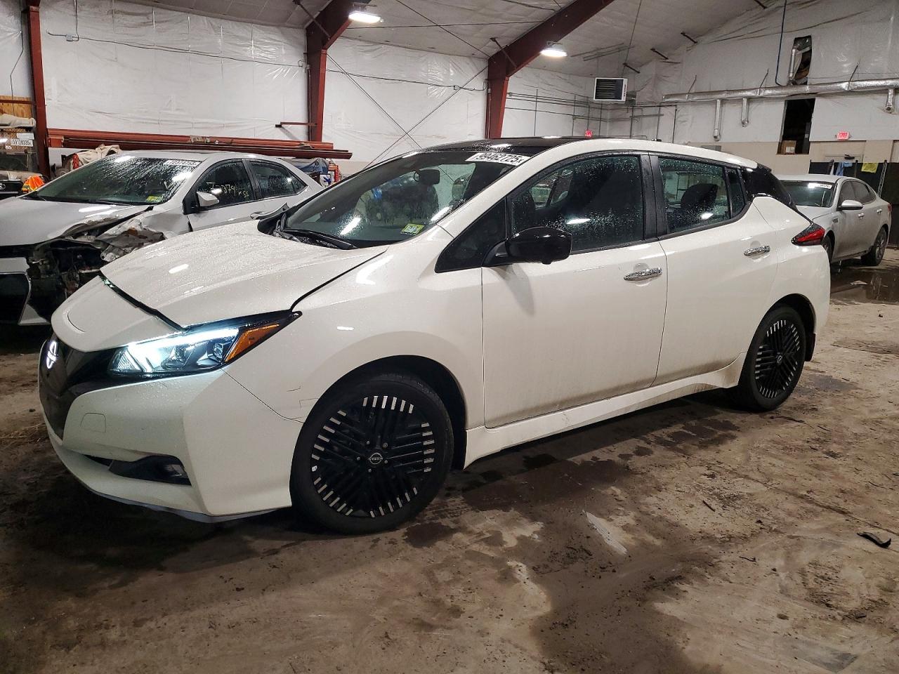 2025 NISSAN LEAF